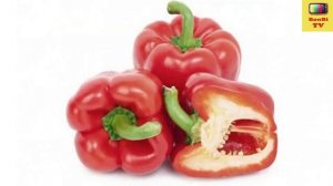 травоядные животные для детей - цветные животные для детей | bonbi tv