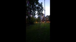 Общение на детской площадке