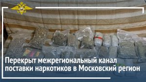 Владимир Колокольцев сообщил о перекрытии межрегионального канала поставки наркотиков
