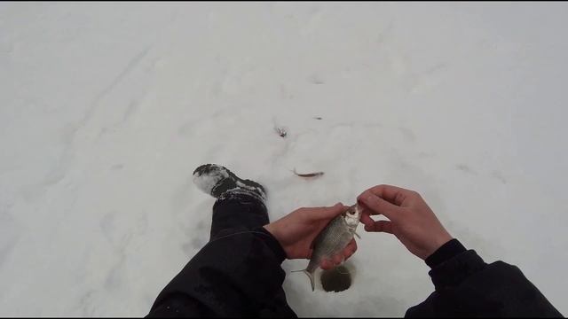 Зимняя рыбалка на чебака! отличный клев! смотреть онлайн