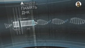 Как пройти Assassin's Creed 1 на 100%. Собрать все флаги.