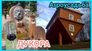 Перевернутый дом! Усадьба Дукора. Зоосад. Знаменитая уникальная Корчма!  #visittheestate #holidays