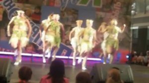 Шоу балет Какаду  -  Брови