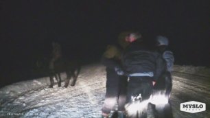 Всадники на лошадях напали на водителя и его жену
