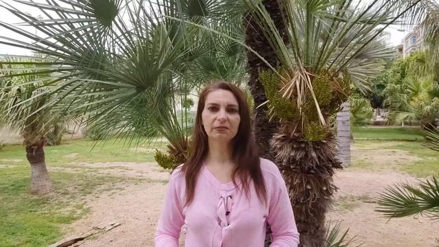 ШКОЛА ЛАНДШАФТНОГО ДИЗАЙНА. Урок 5