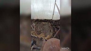 Печь на отработке для теплицы.