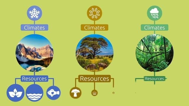 What are ecosystems? Types of Ecosystems for Kids