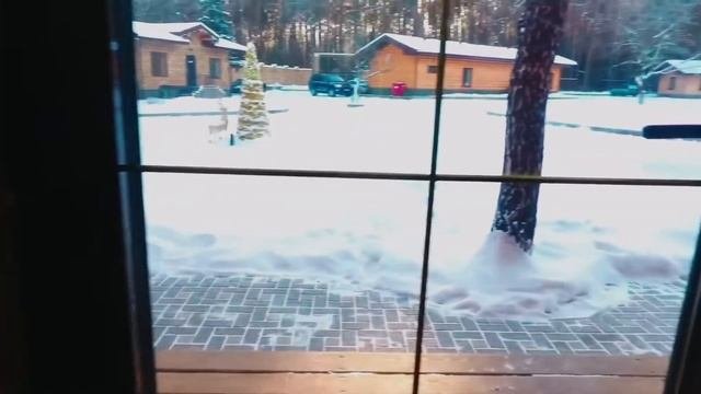 Глэмпинг в Загородном клубе LaFa в Подмосковье | Трипинглэмп