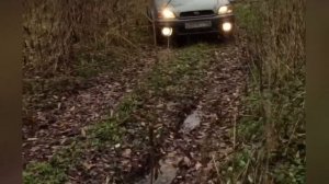 Субару аутбек / грязь /  subaru