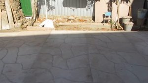 Заливка двора бетоном с покраской