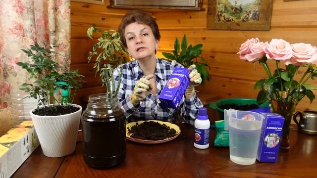 Розы из коробки сажайте только так смотреть онлайн