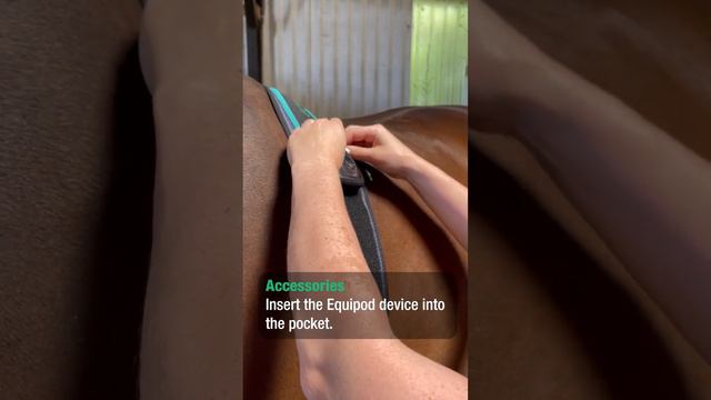 EquiPod - INSERT EQUIPOD INTO KORBAND