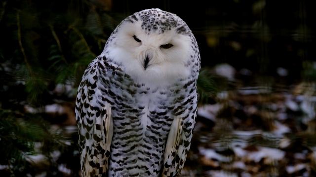 Таинственная музыка под гитару для медитации и релаксации.