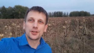 Можно ли есть Чистец болотный