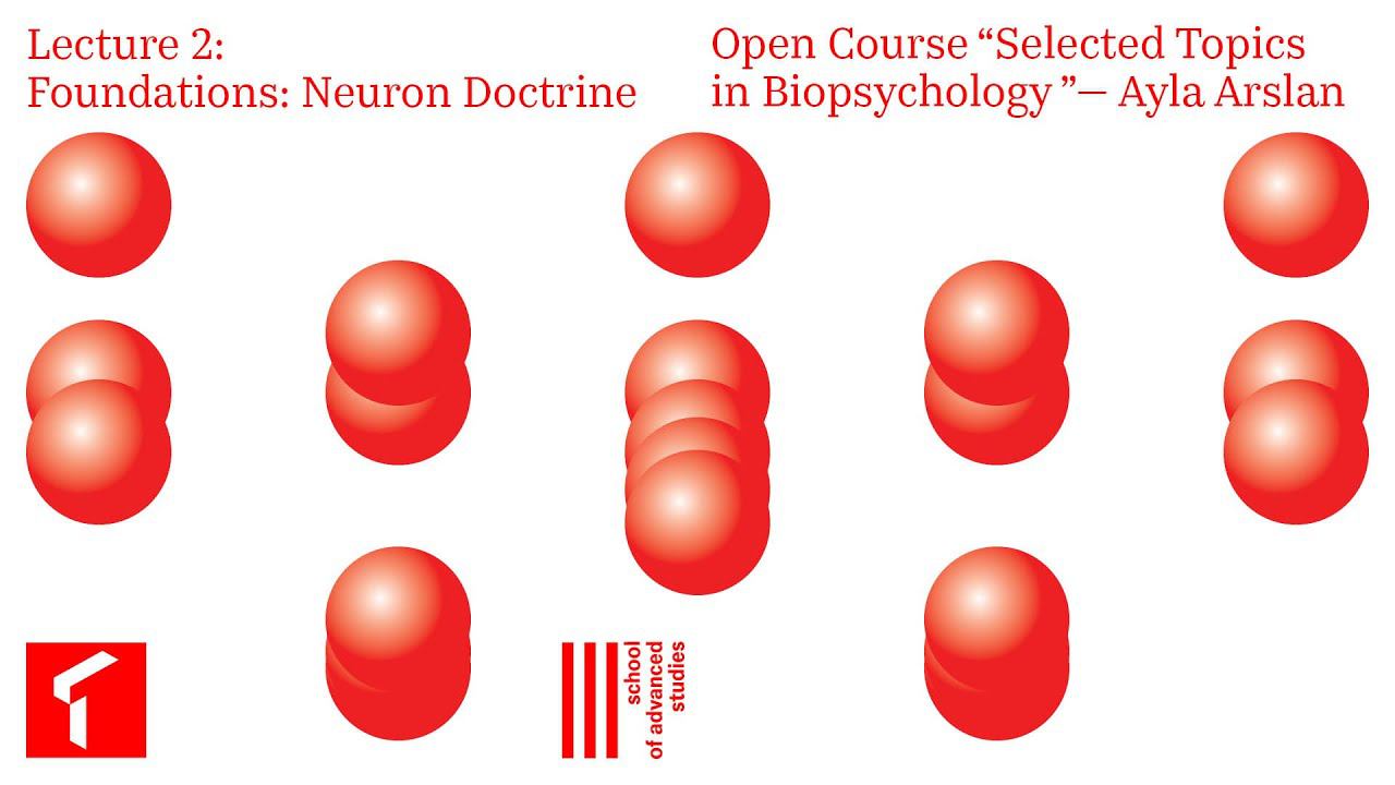 Selected Topics in Biopsychology — Open Course, Lecture 2 | SAS Online |