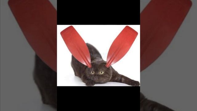 lv_0_20231019100443.mp4 смотреть онлайн