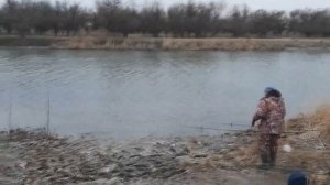 Рыбалка Ростовская область станица Кривянская.
