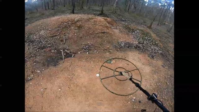 Testing The New DETECH 80 cm Concentric search Coil смотреть онлайн