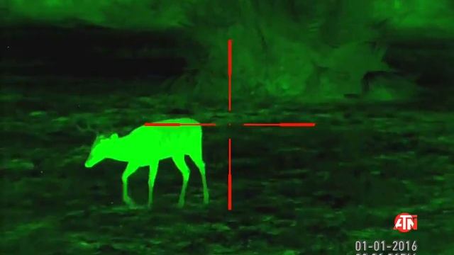 Горячий зеленый в тепловизоре ATN MARS HD 384 4.5-18x смотреть онлайн