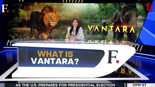 ဒေါ်လာ သန်း (၁၅၀) တန် မင်္ဂလာပွဲ | 150 Million Dollar Wedding смотреть онлайн