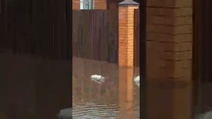 Потоп в Романовке самарской области 3.04 2022
