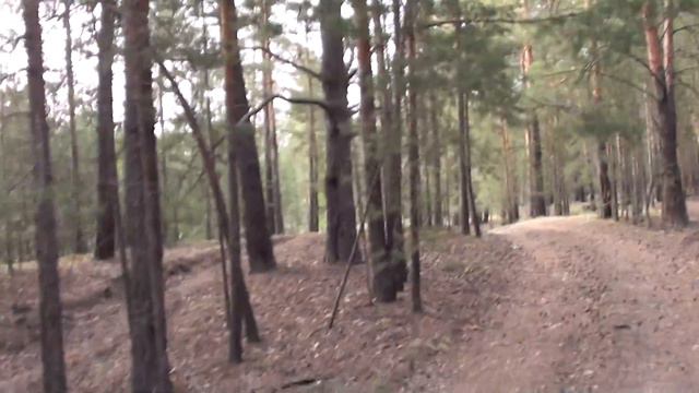 Скворец гоняет зайцев смотреть онлайн