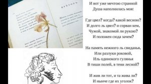 Цветок ("Цветок засохший, безуханный"), Пушкин А.С.