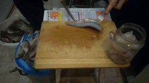 филерование солёного окуня