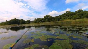 Ловля подлещика с лодки на маховую удочку