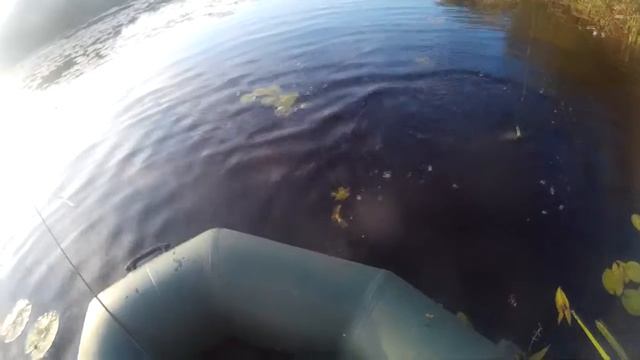 SPRUT SABURO шнур широкого применения смотреть онлайн