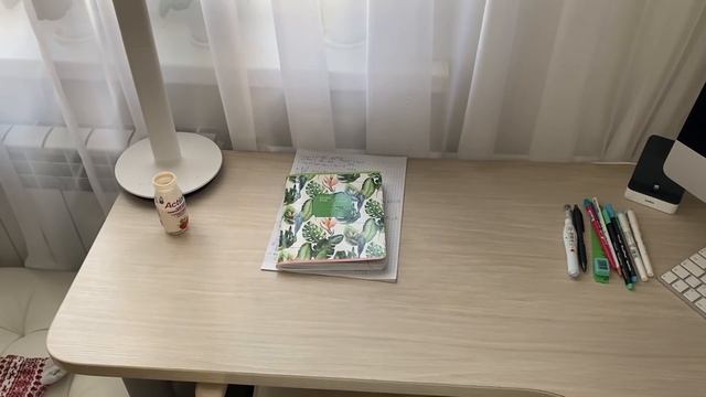 Study With Me // Учись со Мной // МОИ Продуктивные Дни смотреть онлайн