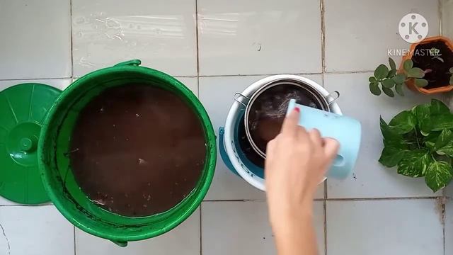 vegetable peel liquid fertilizer/special for bigginer/also make dry fartilizer/all in one fertilize