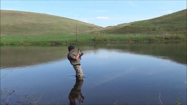 Рыбалка. Ловля голавля на майского жука. Река Дон..mp4 Подписка и лайк продвигают канал!