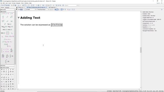 Maple Fundamentals Guide смотреть онлайн