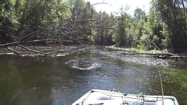 Сплав 2016 4й день (река Великая, Псковская область) смотреть онлайн