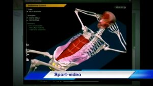 Биомеханика Мышц Живота. Анатомия и 3D анализ Упражнений