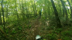 BSE Z6 БИГБОР рулит)