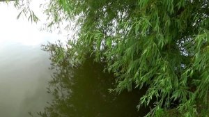 Лирика лето. Красота.