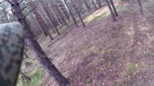 Грибы стрельбище август 2015
