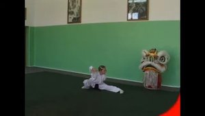 32 формы чанцюань