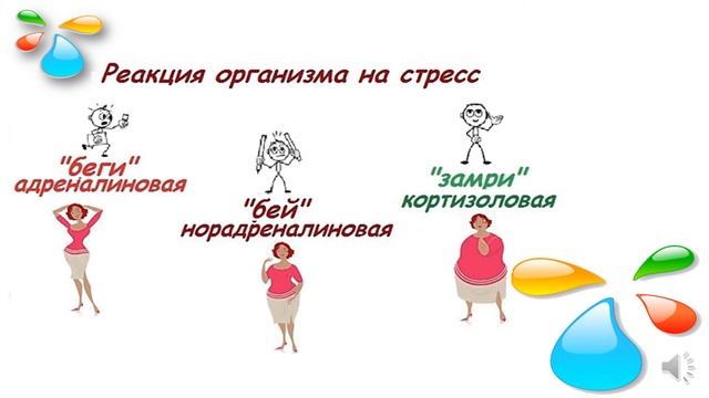 бей беги замри смотреть онлайн