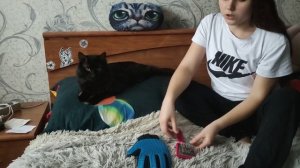 как и чем вычесать свою кошку