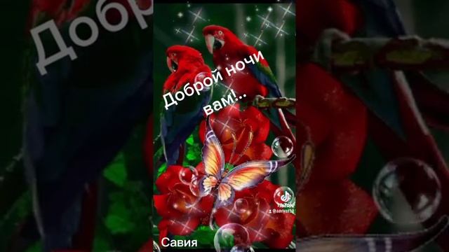 Спокойной ночи!!!