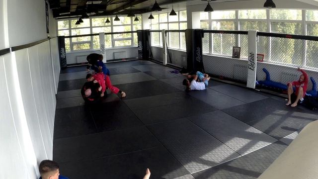 Open mat 24.09.23 Элефант (2)