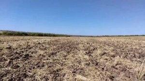 Коп по старине царской империи .