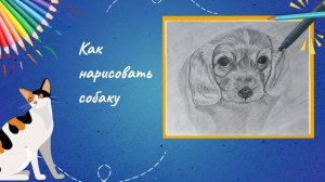 Как нарисовать собаку