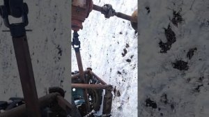 Буроям на т-40 на Алтайских горах