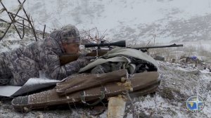 ГОРНАЯ ОХОТА НА ДАГЕСТАНСКОГО ТУРА. (Dagestan Tur and Caucasian chamois)