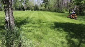 Cub Cadet Ultima ZT1 50 Cutting 2 Foot Tall Grass!