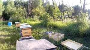 Улей лежак (2 в 1) на 20 рамок..Цена и комплектация..Переселил пчел.